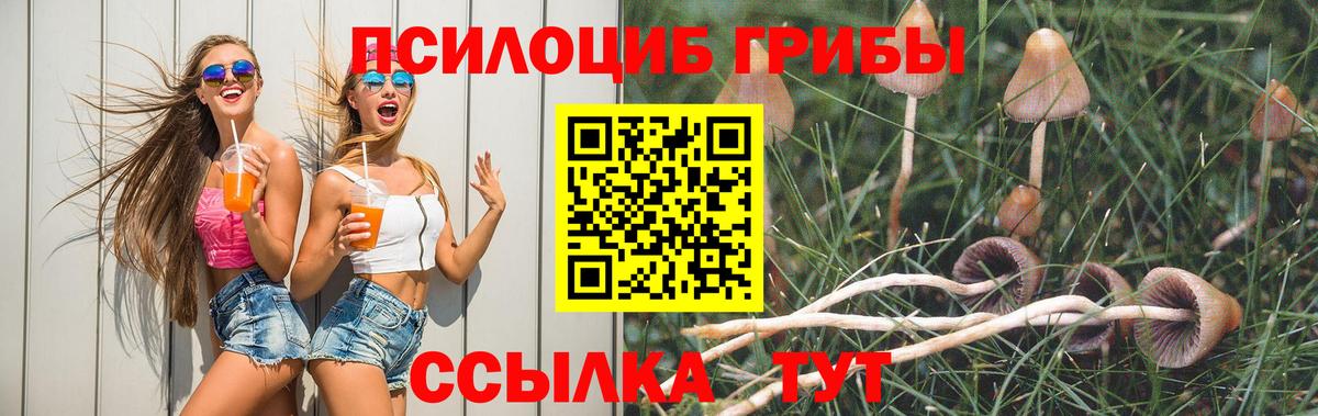 Псилоцибиновые грибы Magic Shrooms  Вход с VPN  Ртищево 